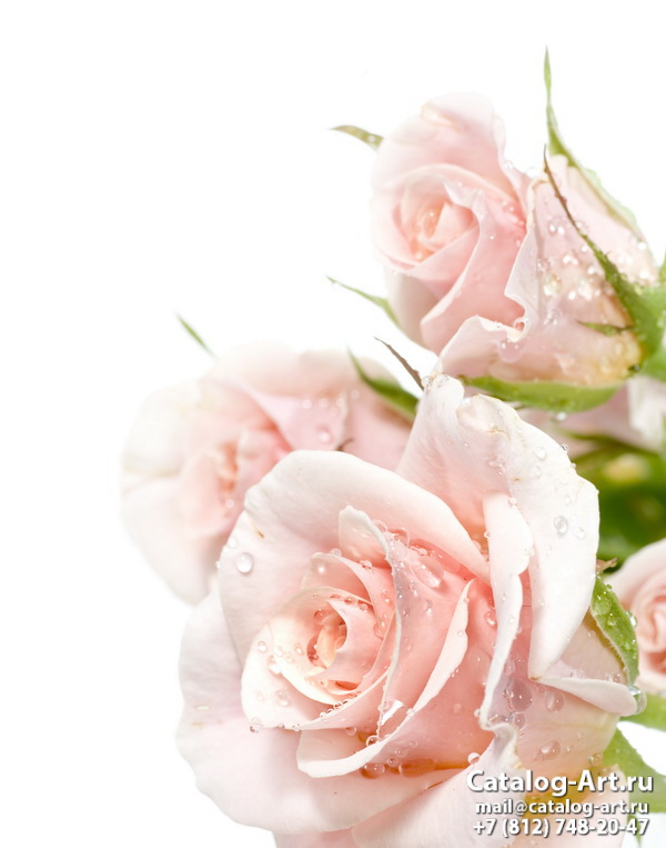 Натяжные потолки с фотопечатью - Розовые розы 16